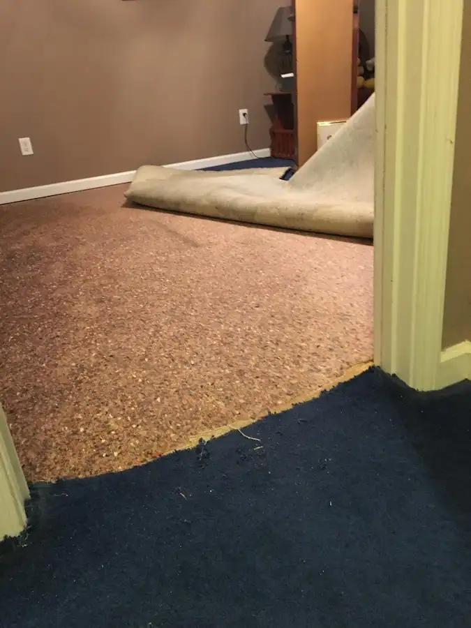 Carpet pad removal revealing water damage during Water Mitigation Services in Oakleaf Plantation