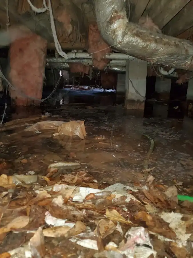 Crawl space flood assessment for Leak Detection & Repair in Oakleaf Plantation